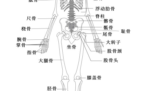 坐骨神经痛跟什么有关系-【坐骨神经痛用筋膜枪按摩哪些位置】坐骨神经炎的症状 - 坐骨神经痛和筋膜炎的区别网